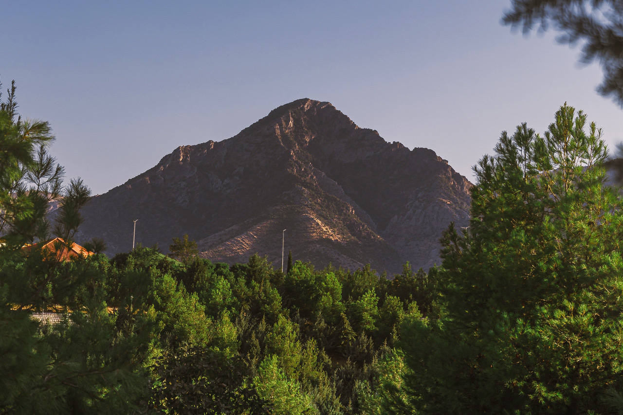 flight offers erbil 2